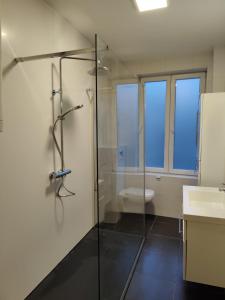 La salle de bains est pourvue d'une douche en verre et de toilettes. dans l'établissement B&B Leopold & Vakantiewongingen, à Saint-Trond
