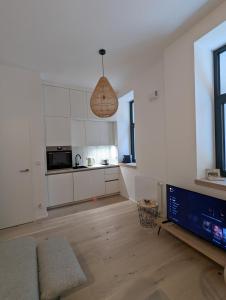 Kuchyň nebo kuchyňský kout v ubytování JASMIN HOME Apartments