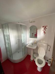 a bathroom with a toilet and a shower and a sink at Pensiunea Cristiion in Măţău