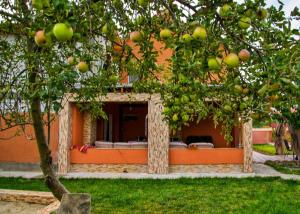 una casa arancione con un albero di mele nel cortile di Pensiunea Burciu a Salcioara