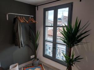 a window in a room with a plant next to it at Les studios de Théophile - Calme absolu - Wifi - Centre historique in Arles