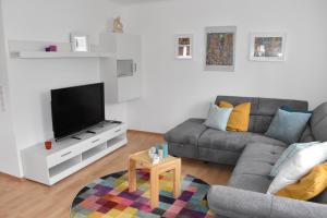 uma sala de estar com um sofá e uma televisão em Fewo Resaleen em Öhningen