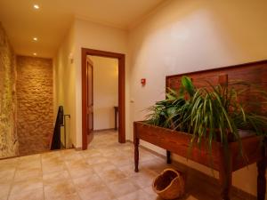 Fotografie z fotogalerie ubytování Apartment Agroturismo Roqueta-2 by Interhome v destinaci Maria de la Salut