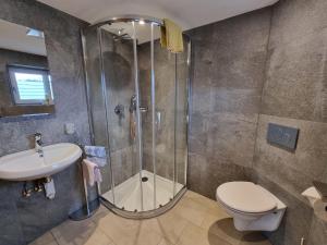 a bathroom with a shower and a toilet and a sink at Apartment Alpenliebe - KPL657 by Interhome in Kappl