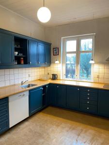 cocina con armarios azules, fregadero y ventana en OnlySleep Femern, en Holeby