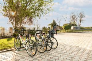 um grupo de bicicletas estacionadas um ao lado do outro em Penzion Kovács em Novosedly