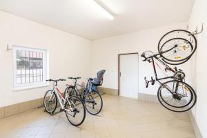 Jazda na bicykli v okolí ubytovania Resort Kovács