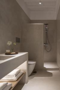 a bathroom with a shower and a toilet and a sink at Mykonos Esti Luxury Villas in Agios Ioannis Mykonos