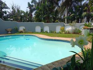 a swimming pool in front of a white fence at Rock Fig Suite - Villa Roc Guesthouse in Salt Rock