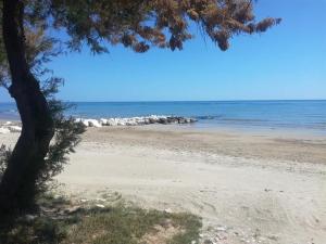 a beach with a tree and the ocean at Residence Il Triangolo in Roseto degli Abruzzi