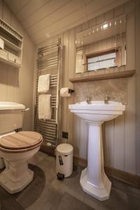 uma casa de banho com um WC e um lavatório em Silver Dollar em Watton