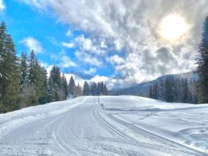 T2 de charme à Megeve vue panoramique tokom zime