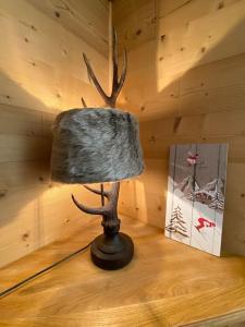 Fotografija u galeriji objekta T2 de charme à Megeve vue panoramique u gradu Mežev