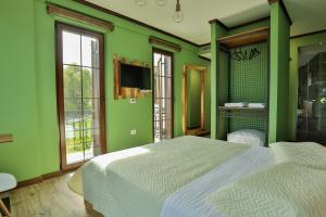 a green bedroom with two beds and a television at Vila Strugu in Voskopojë