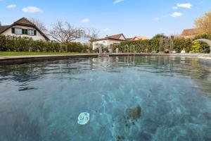 a swimming pool with a toy in the water at Joli duplex avec piscine in Cournillens