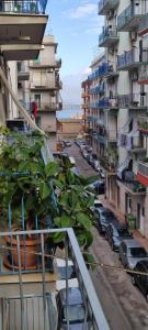 a plant in a pot on a balcony of a building at DA VINCI AFFITTACAMERE BORGO in Taranto