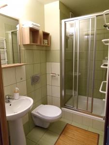 uma casa de banho com um chuveiro, um WC e um lavatório. em Szarotka Pienińska em Szczawnica