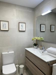 La salle de bains est pourvue d'un lavabo, de toilettes et d'un miroir. dans l'établissement PISO CENTRO - CONCORDIA, à Ourense