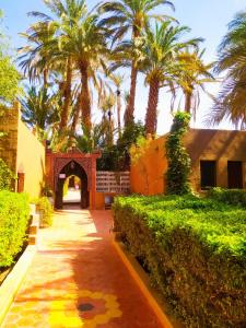 un patio con palmeras y un camino en Chez Ali en Zagora