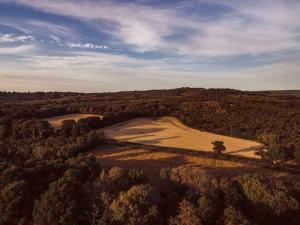an aerial view of a field with a tree at Redwood - the BIG yurt in Fernhurst