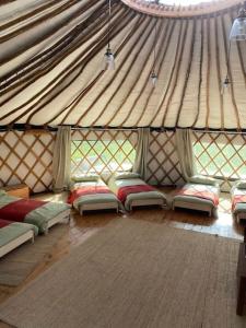 a room with a bunch of beds in a tent at Redwood - the BIG yurt in Fernhurst