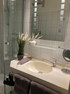a bathroom with a sink and a mirror at Küstenbude Dünengras in Grömitz