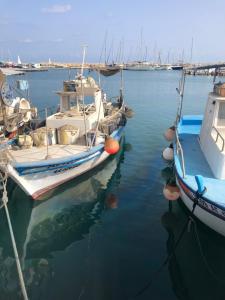 a group of boats docked in a harbor at Mazotos Panoramic Village in Mazotos