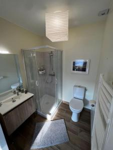 een badkamer met een douche, een toilet en een wastafel bij Maisonnette de charme aux portes d'Hossegor in Bénesse-Maremne