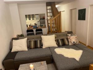 un perro tirado en un sofá en una sala de estar en Die Feelgood-Wohnung am Mondsee, en Mondsee