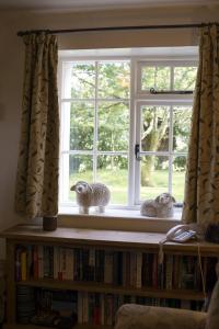 two stuffed animals sitting on a book shelf in a window at Middlefield Cottage Coniston Water in Coniston