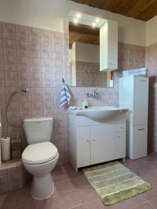 a bathroom with a toilet and a sink at Pokoje u Kasi przy Dol. Chochołowskiej in Witów