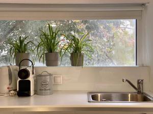 a kitchen sink with potted plants on a window sill at Mosaikon Guesthouses #Aiolou Str in Athens