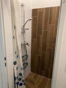 een badkamer met een douche en een douchegordijn bij Top-Apartment in Mürzzuschlag