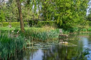 a chair sitting on a bench in the middle of a pond at Vibrant rural hideaway - Aspen Loft in Sudbury +44 photos