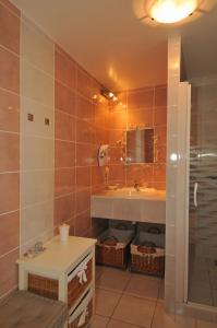 ein Bad mit einem Waschbecken und einem Spiegel in der Unterkunft La p'tite Boulonne in Festigny