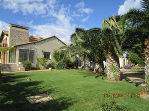 a yard with palm trees and a house at les palmiers in Vias