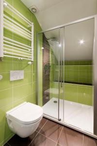 baño verde con aseo y ducha en Le Boca en Les Waleffes