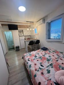 Kuchyň nebo kuchyňský kout v ubytování Apartment Lanterna