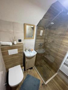 a bathroom with a shower and a toilet and a sink at Cottage Mila in Žabljak