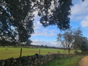 Terradillos的住宿－CASA RURAL "LA MAZA" entre encinas y dehesas，田野和树木旁的石墙