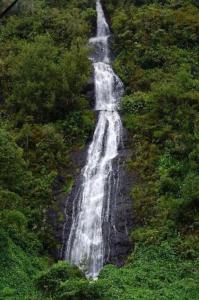 una cascada en medio de un bosque en Chalet de la Mare. en Salazie