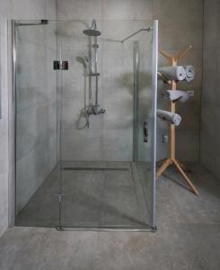 um chuveiro com uma porta de vidro na casa de banho em Hofmann Apartment em Cheb