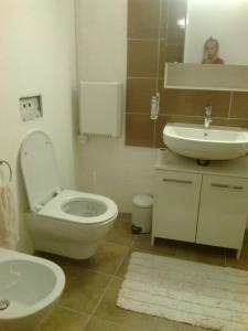 uma casa de banho com um WC branco e um lavatório. em La taverna em Sessa