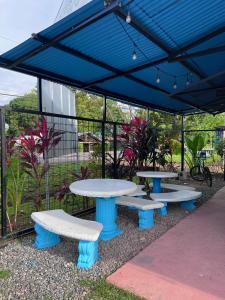 a group of tables and benches under a blue canopy at The Sweet Escape Cabinas in Sierpe