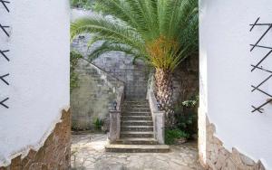 Fotografia z galérie ubytovania Codolar Las mejores vistas en Tossa de Mar v destinácii Tossa de Mar