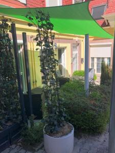 Vonkajšia záhrada v ubytovaní La Bella Centrum apartmanok Piros/Sárga