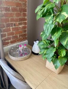 a table with two bottles of water and a plant at Miracle Place in Ivano-Frankivsk