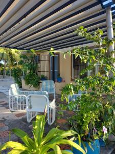Zahrada ubytování Casa Ibiza Celestun