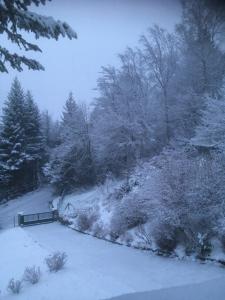 un parque cubierto de nieve con un banco y árboles en Au Talhorn chez Marc, en Fellering