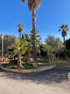 Fotografia z galérie ubytovania Maison zen v destinácii Agde